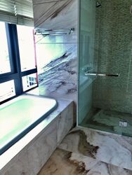 The Ritz-Carlton  (D9), Condominium #485832031